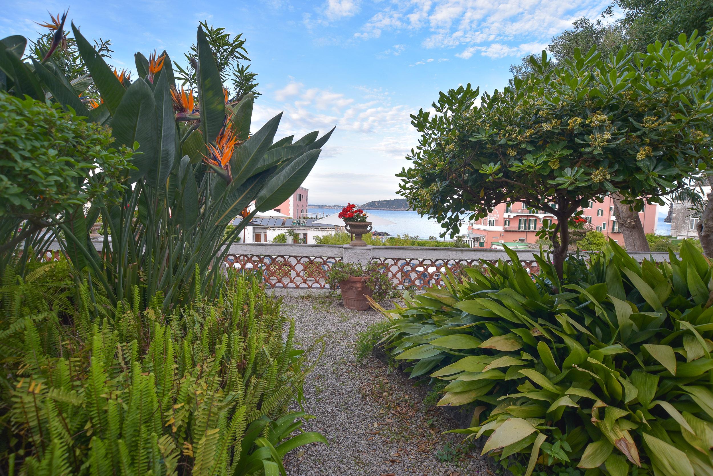 Villa Panoramica - Ischia Ponte Exteriör bild