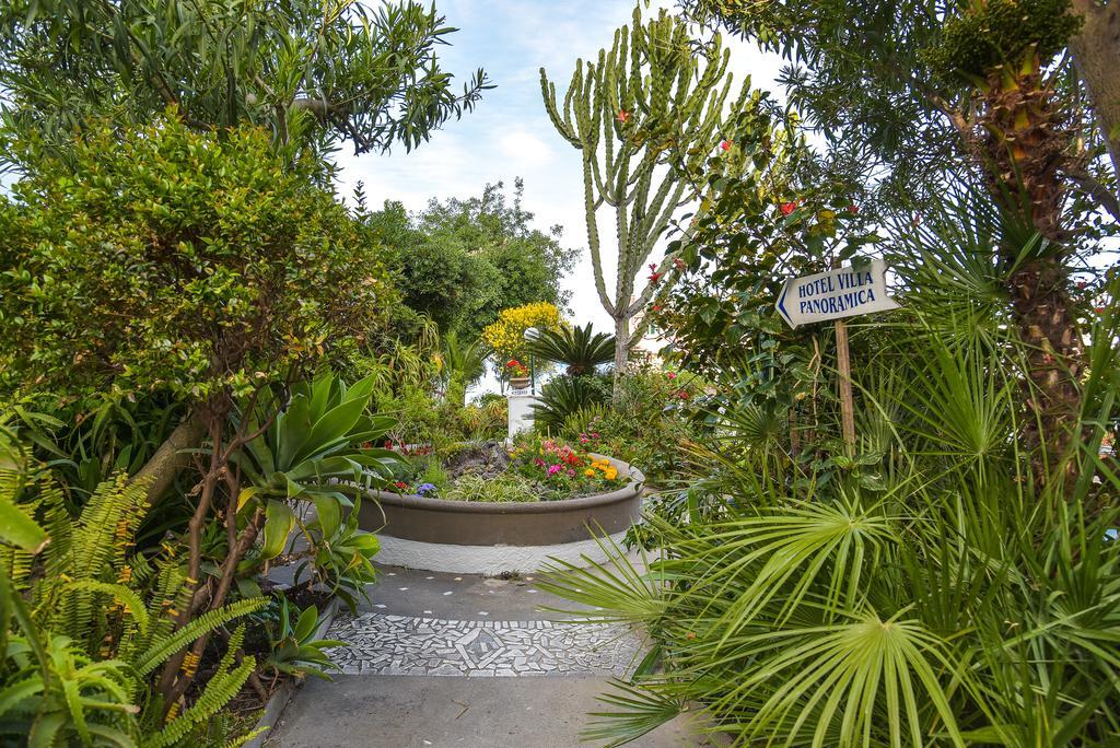 Villa Panoramica - Ischia Ponte Exteriör bild