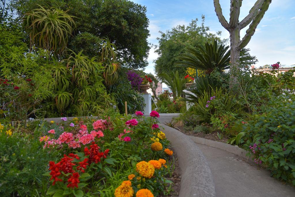 Villa Panoramica - Ischia Ponte Exteriör bild