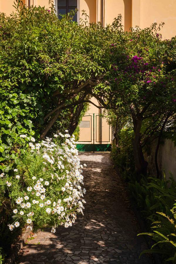 Villa Panoramica - Ischia Ponte Exteriör bild