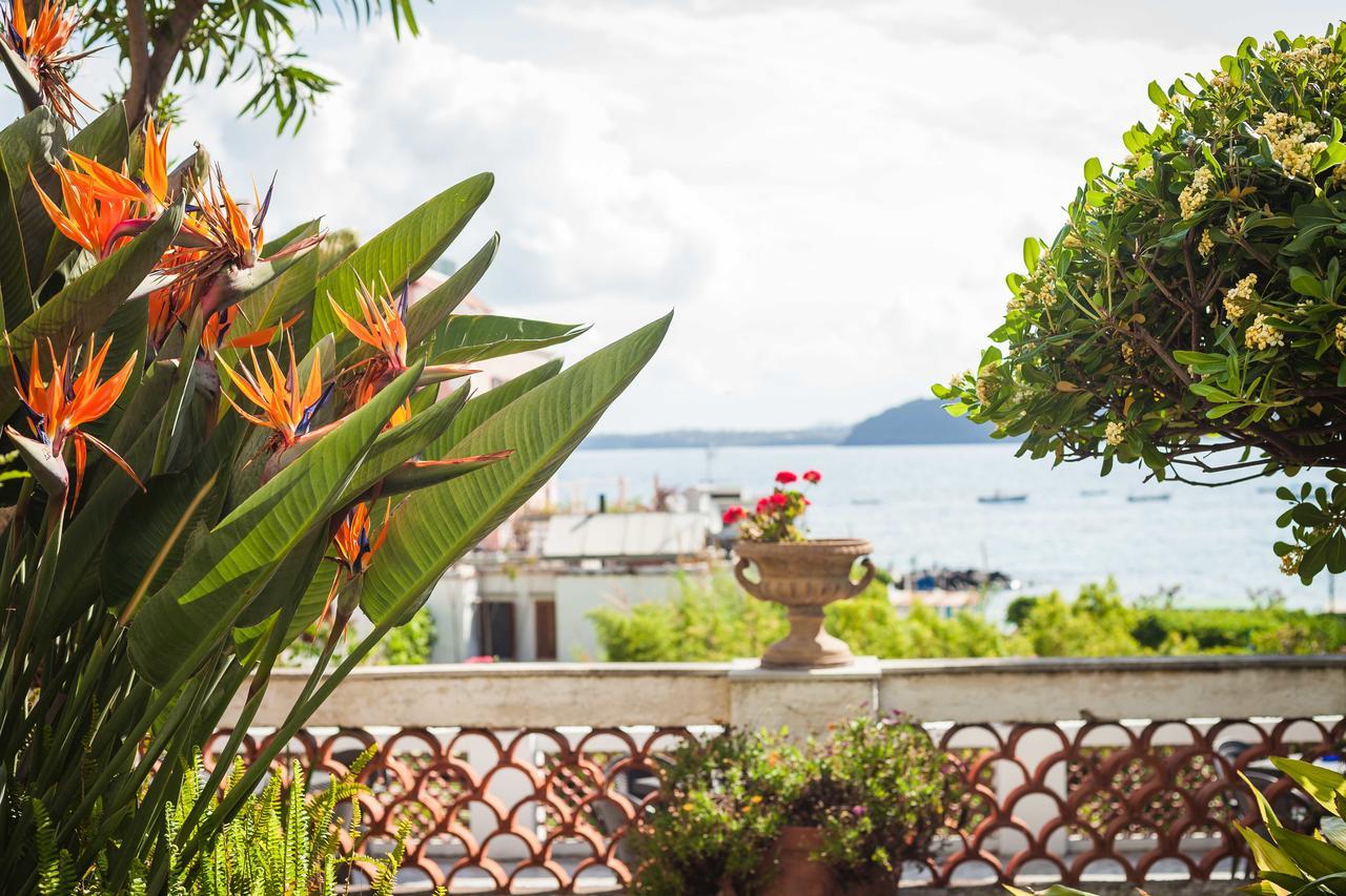 Villa Panoramica - Ischia Ponte Exteriör bild