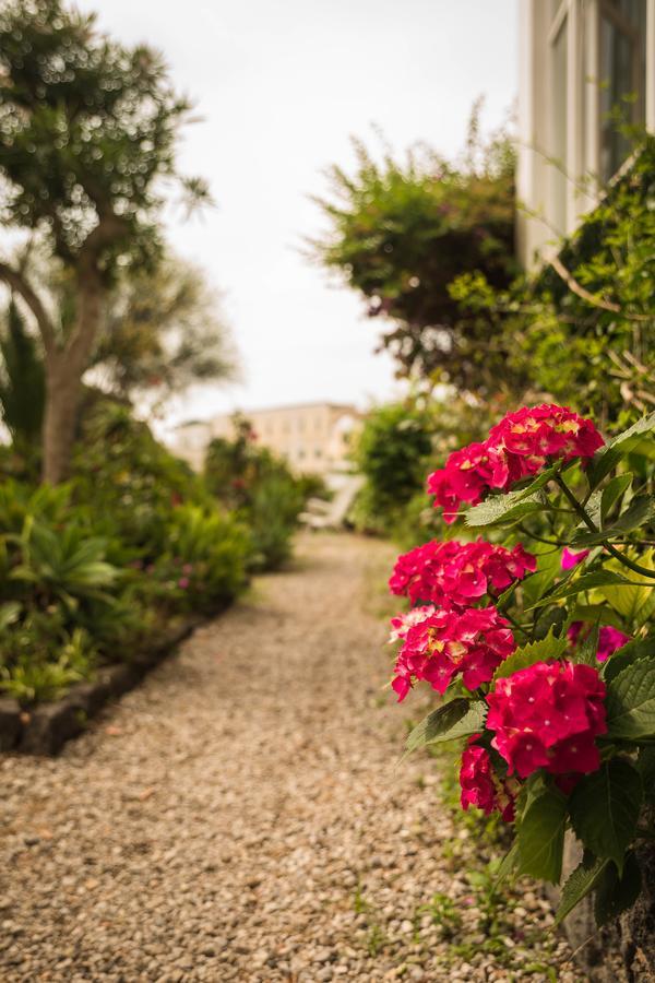 Villa Panoramica - Ischia Ponte Exteriör bild
